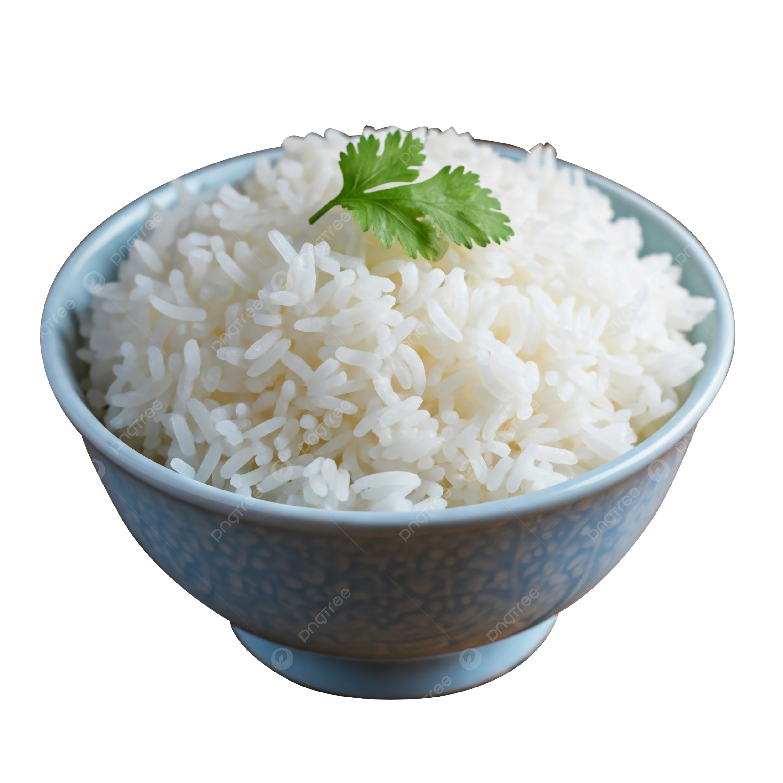 Nasi Putih
